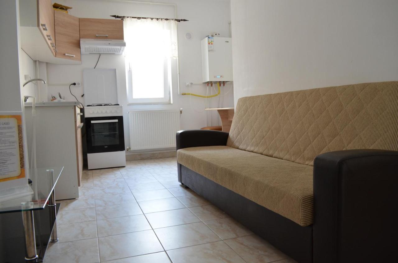 Alexys Residence 5 Iasi Bagian luar foto